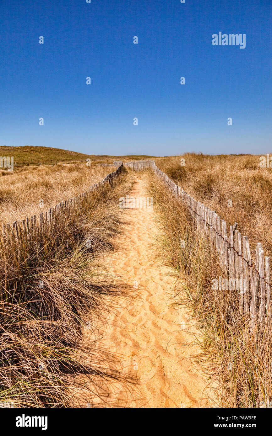 Path through sand dunes near Port Bara, Quiberon Peninsula, Brittany, France. Stock Photo