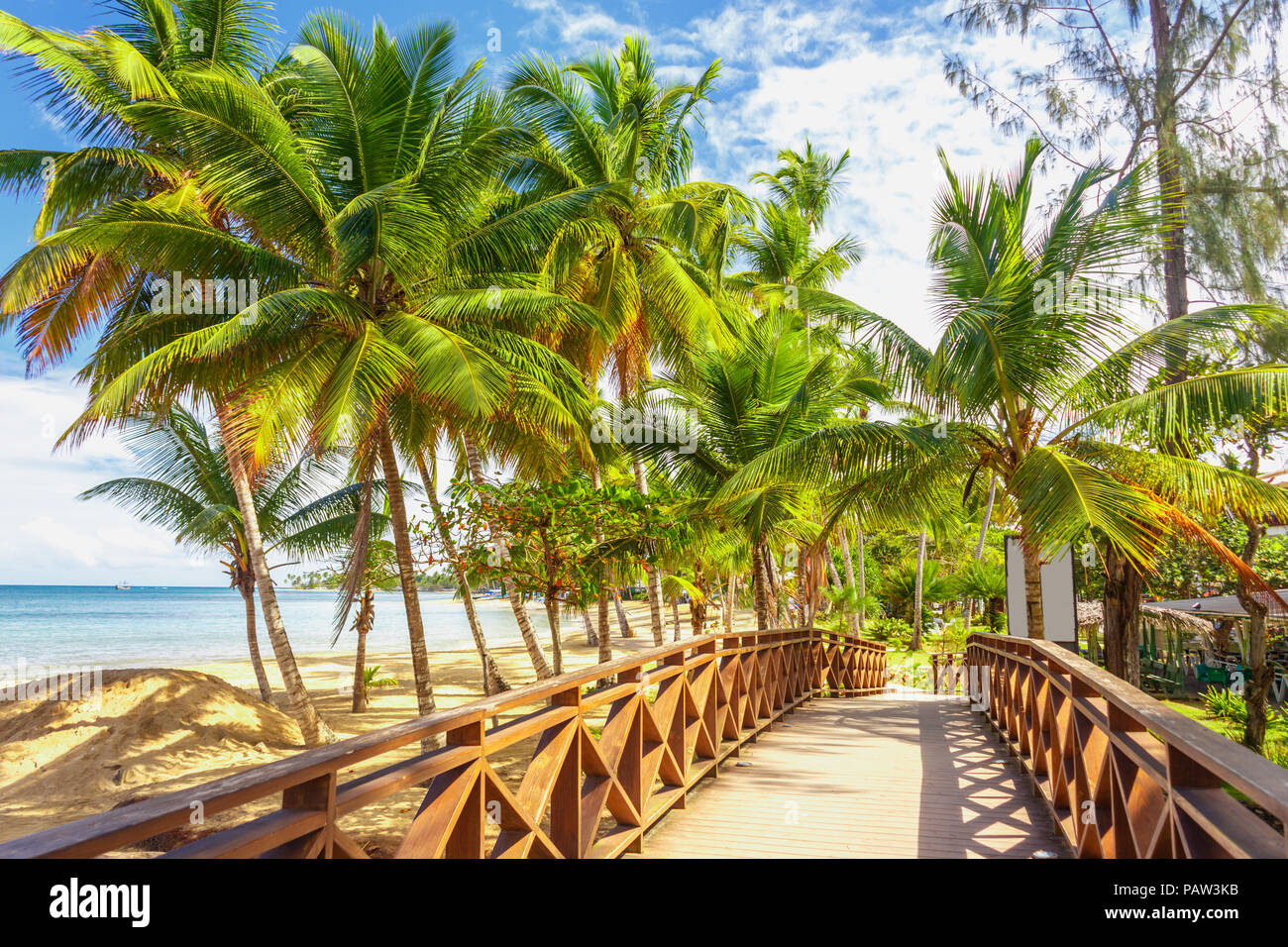 wooden bridge among the palm trees on the beach Stock Photo Alamy
