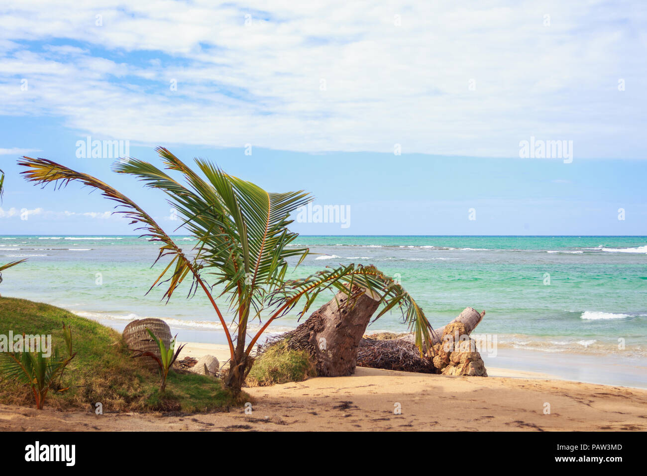 incredible Tropical caribbean beach with breathtaking color of the sea. Vacation concept. Dominican Republic Stock Photo