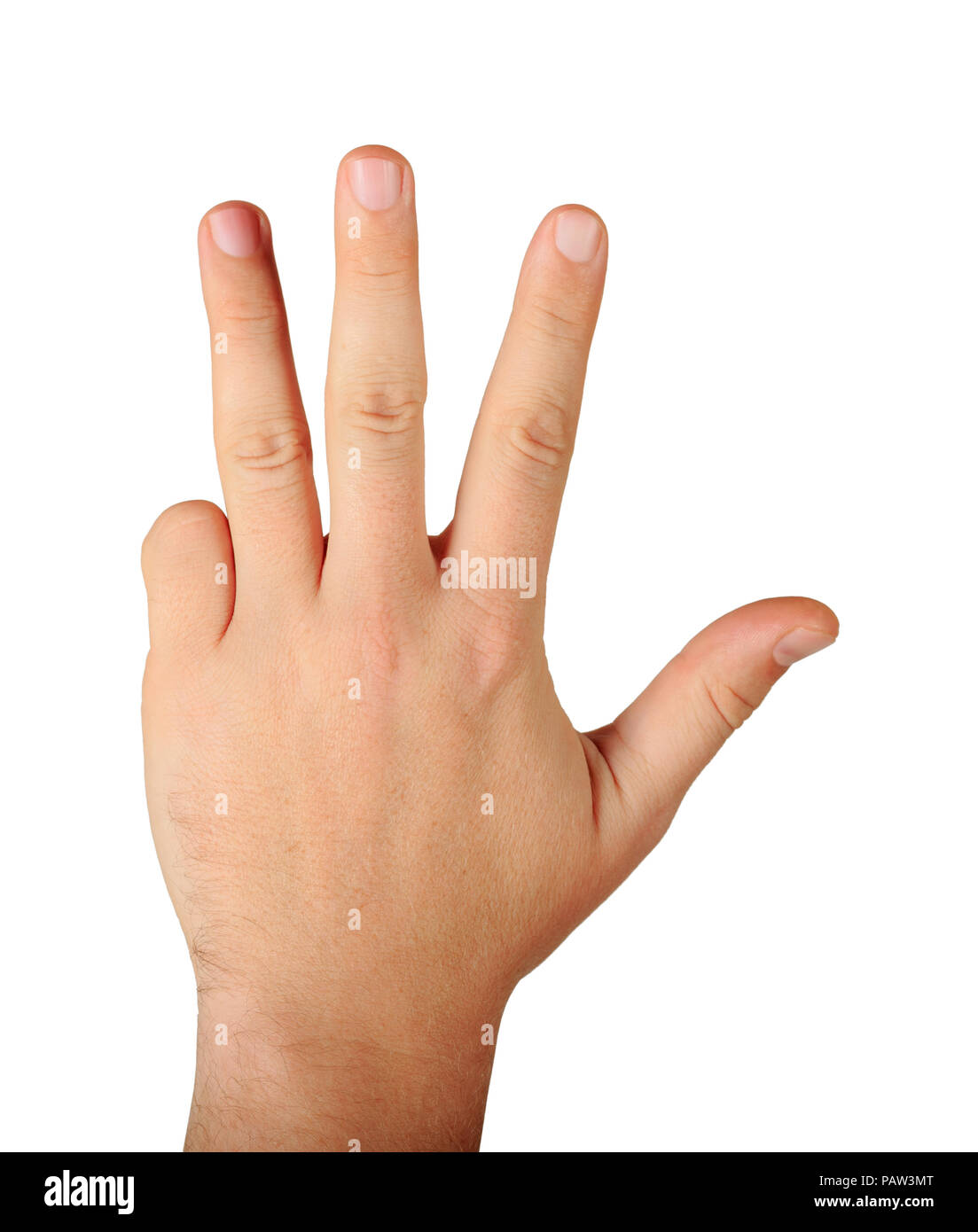 Gesture male hand with four fingers rear view isolated on white background. Finger count four