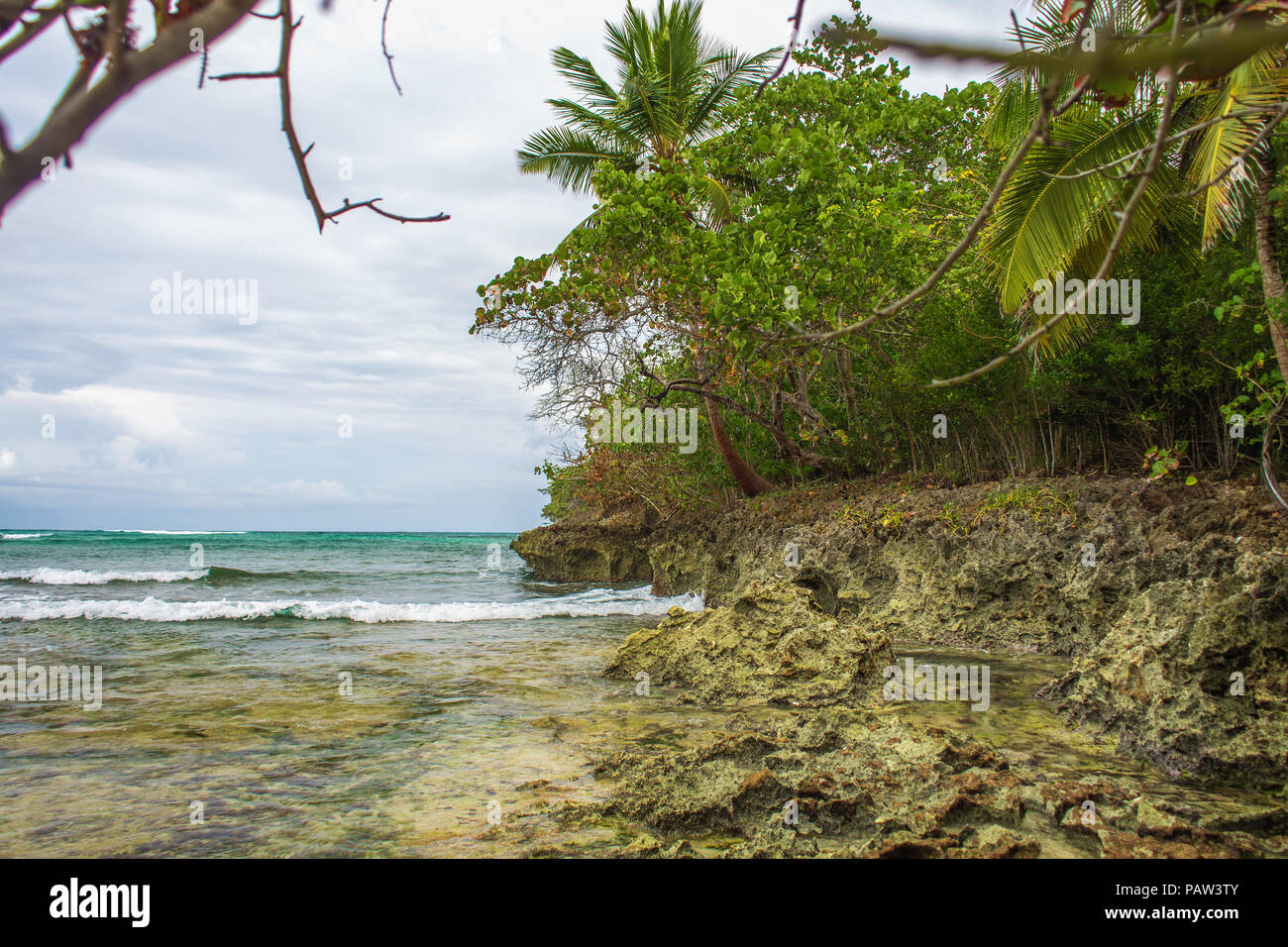 Wild tropical shore. South landscape: ocean, palm trees, sky with white clouds. Samana, Dominican Republic Stock Photo