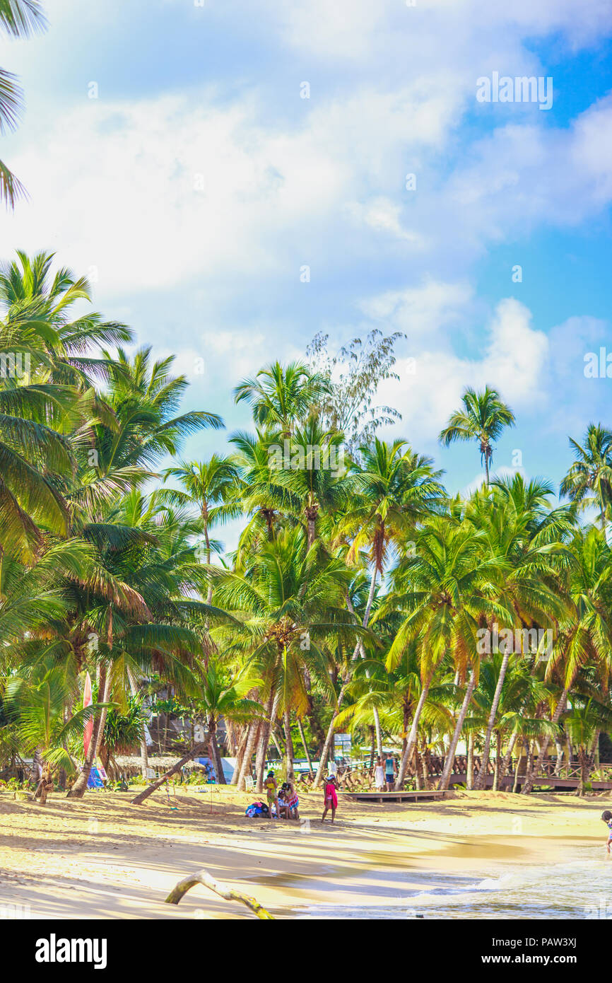 Super vacation. Tropical beach in Dominican Republic Stock Photo