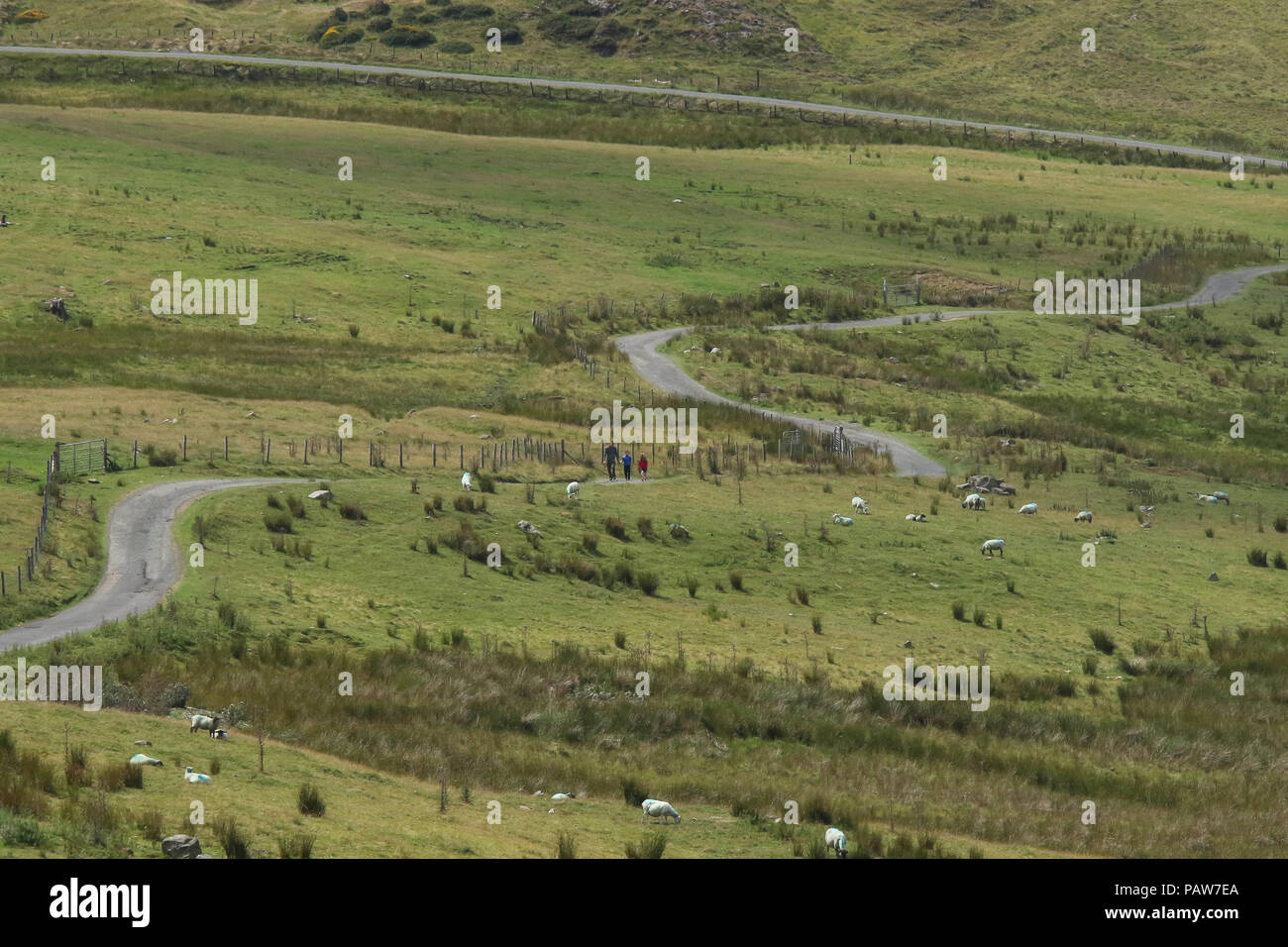 Slieve Croob Dromara Hills County Down Northern Ireland - 