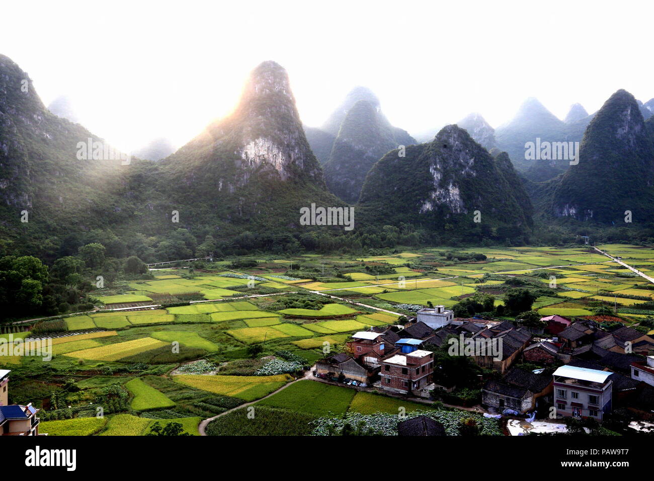Guilin,Guangxi,China,25th July 2018.Early morning at a rice field in  Yanshan district near Yangshuo, Guilin city, China's Guangxi province.  Guilin had developed what was for that time a highly organized tourism  sector, receiving