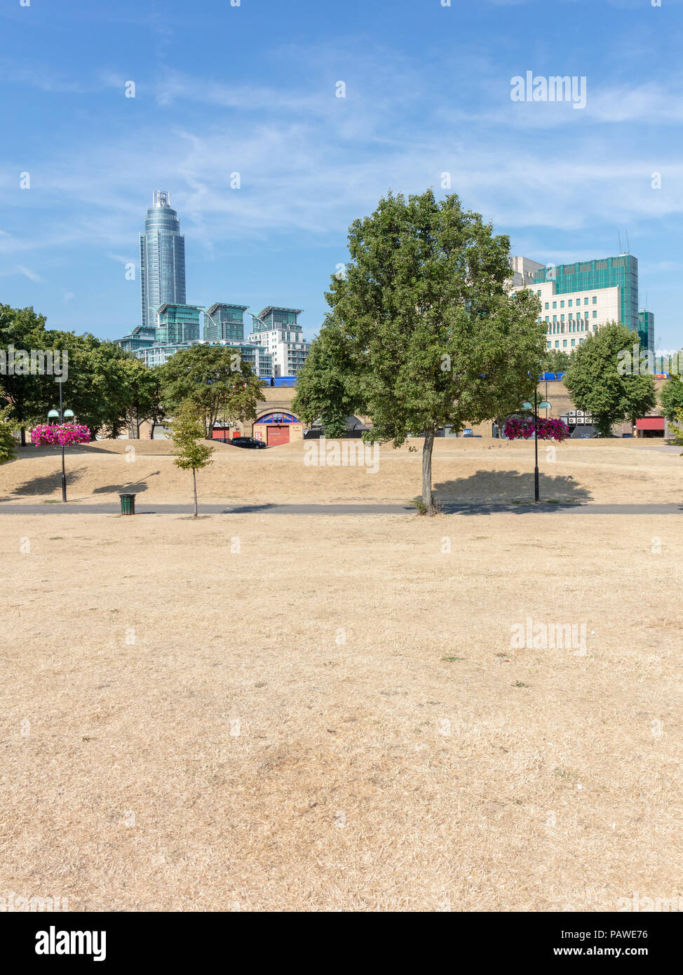 Vauxhall, London, UK, 25 July 2018. Vauxhall Pleasure Gardens, London; UK Weather - Grass Has Turned Yellow and Looks  Like Straw Due to the Current Summer Heatwave Stock Photo
