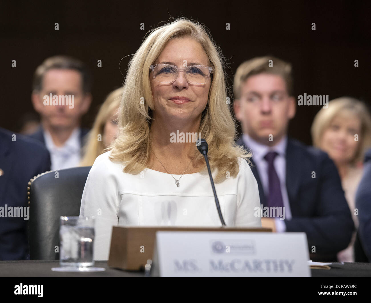 July 25, 2018 - Washington, District of Columbia, United States of America - Ellen E. McCarthy testifies before the United States Senate Select Committee on Intelligence on her nomination to be an Assistant Secretary of State (Intelligence and Research), on Capitol Hill in Washington, DC on Wednesday, July 25, 2018..Credit: Ron Sachs / CNP (Credit Image: © Ron Sachs/CNP via ZUMA Wire) Stock Photo