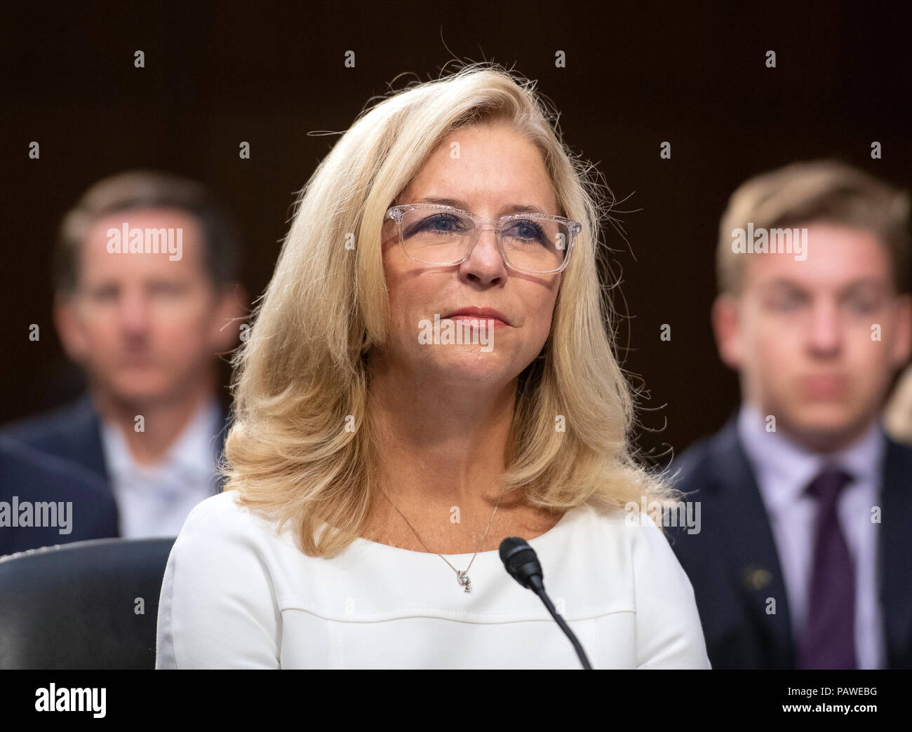 Ellen E. McCarthy testifies before the United States Senate Select Committee on Intelligence on her nomination to be an Assistant Secretary of State (Intelligence and Research), on Capitol Hill in Washington, DC on Wednesday, July 25, 2018. Credit: Ron Sachs/CNP /MediaPunch Stock Photo