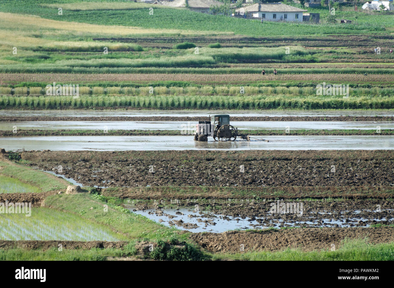 Lone tractor is the water of a rice field, North Korea Stock Photo