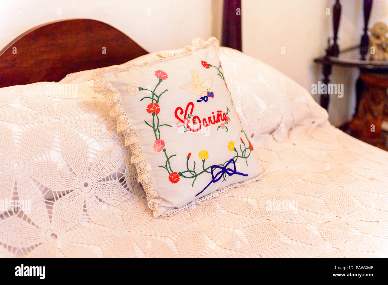 frida kahlo embroidered pillows