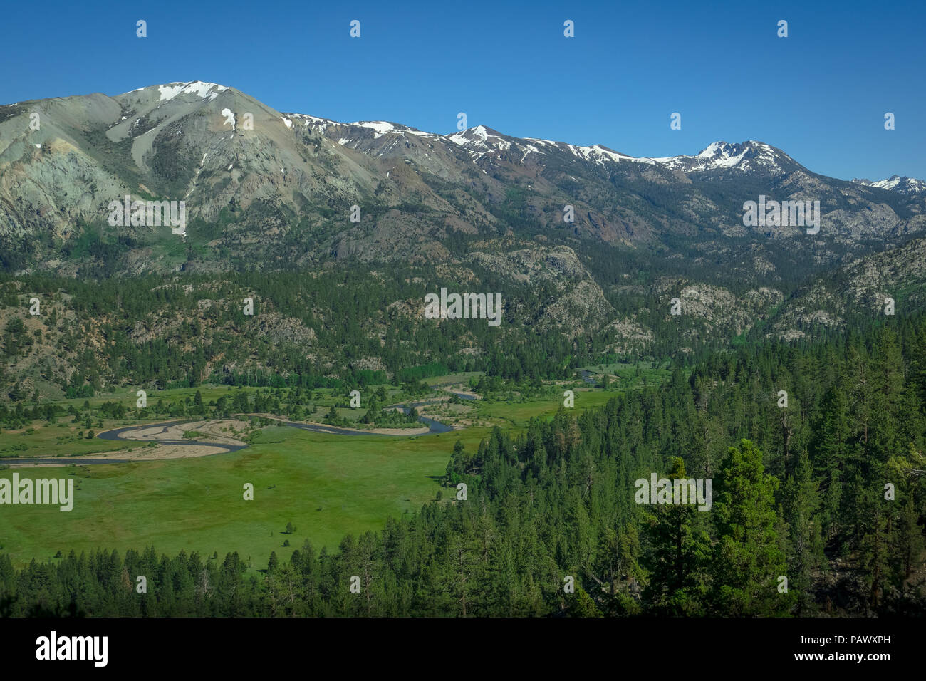 High sierra meadow hires stock photography and images Alamy