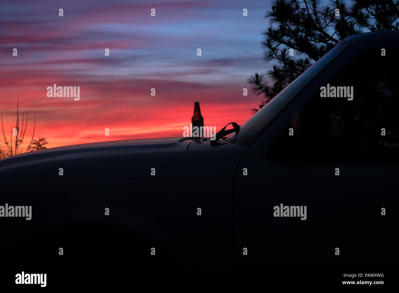 Sunset silhouette of beer bottle on the hood of a truck in the forest - Lake Tahoe Area, California Stock Photo