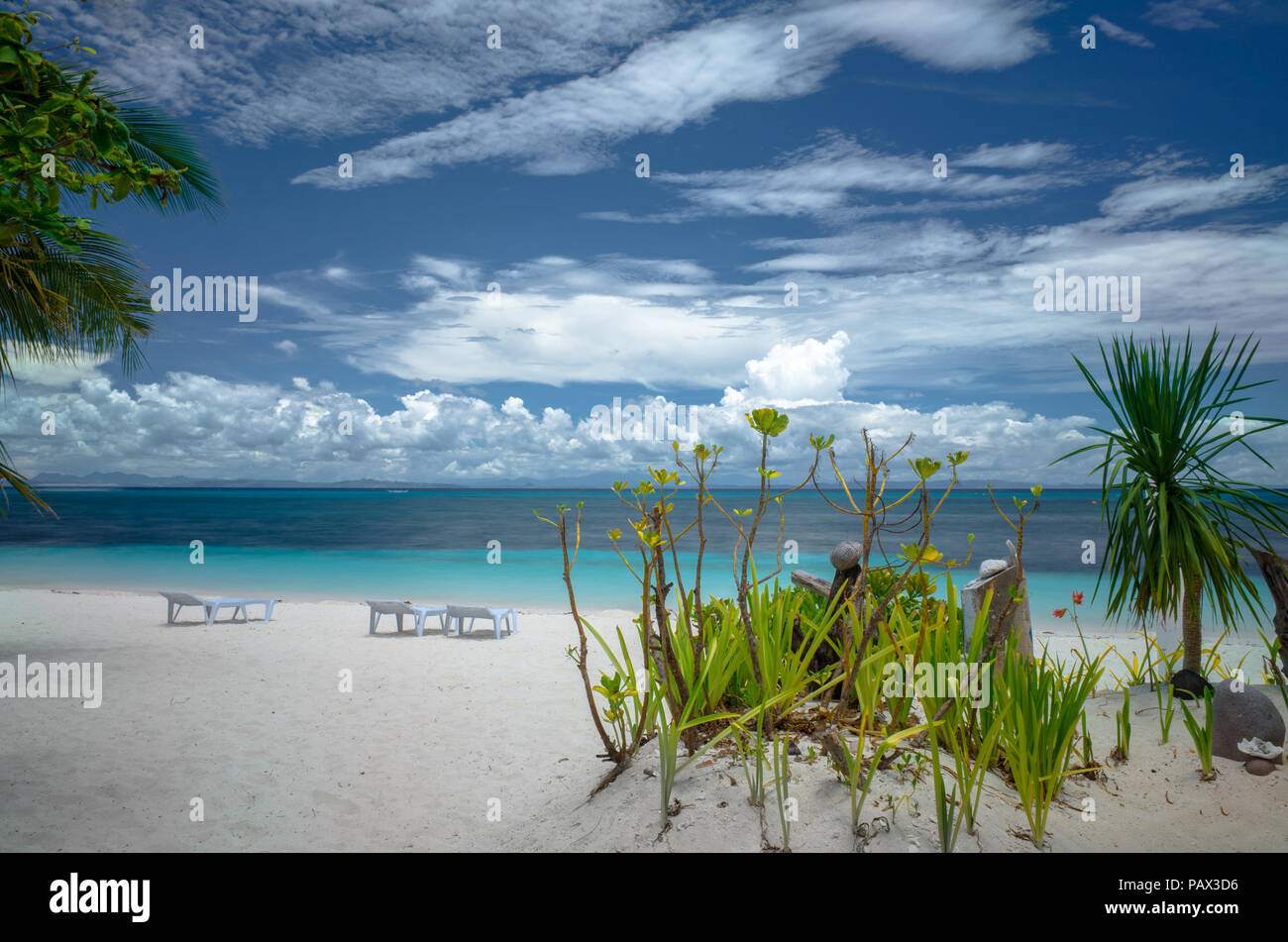 Palm and coconut trees decorate a tropical beach with tanning beds