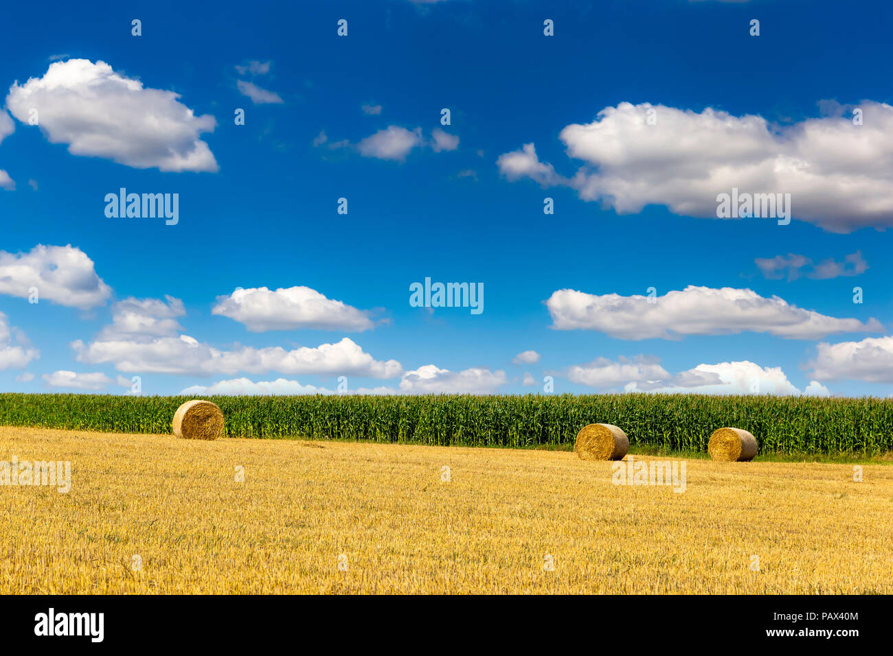 Bohemia farm land hi-res stock photography and images - Alamy