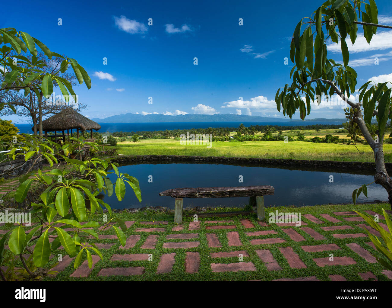A rustic bench looks out over a vibrant green rice field, all the way to the sea - Albay, Bicol - Philippines Stock Photo