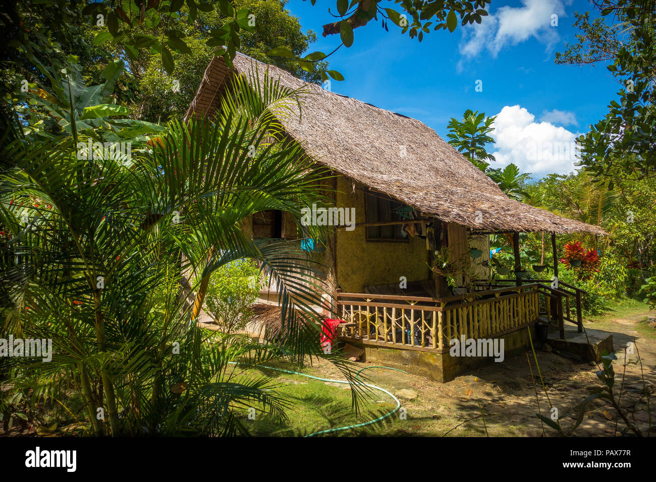 A traditional native bamboo and nipa hut, deep in the jungle of Port Barton,  Palawan - Philippines Stock Photo - Alamy