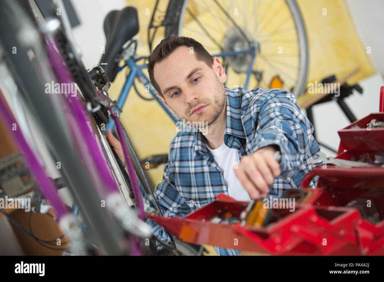 technical expertise taking care a gear bicycle shop Stock Photo Alamy