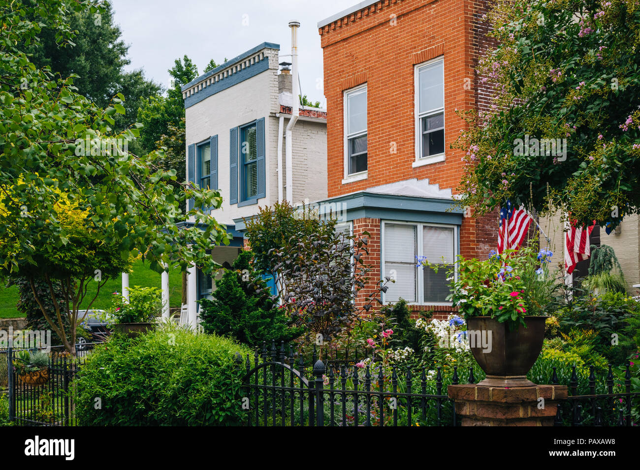 Houses on Montgomery Street in Federal Hill, Baltimore, Maryland Stock