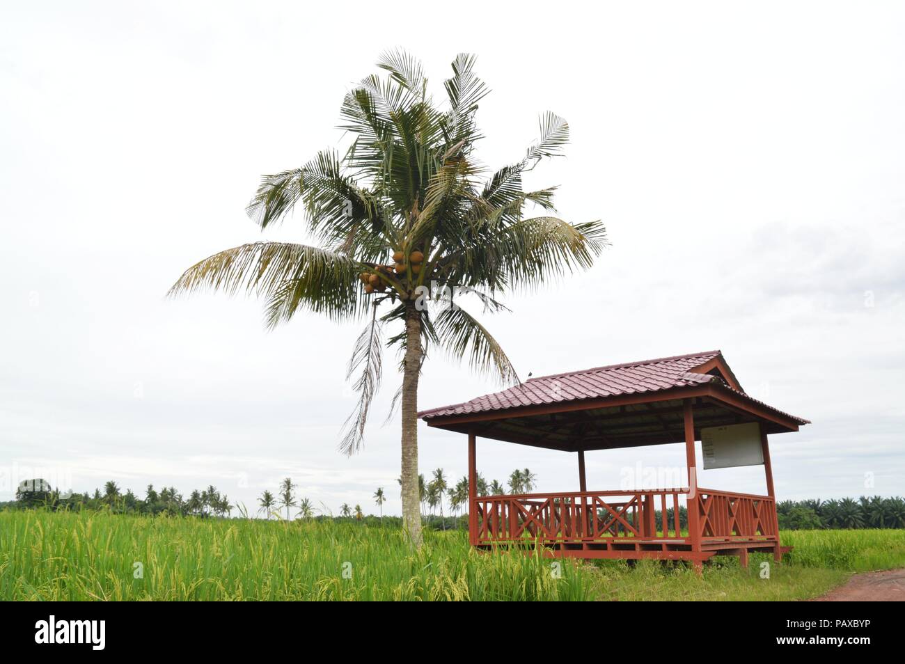 the restplace at the paddyfield Stock Photo