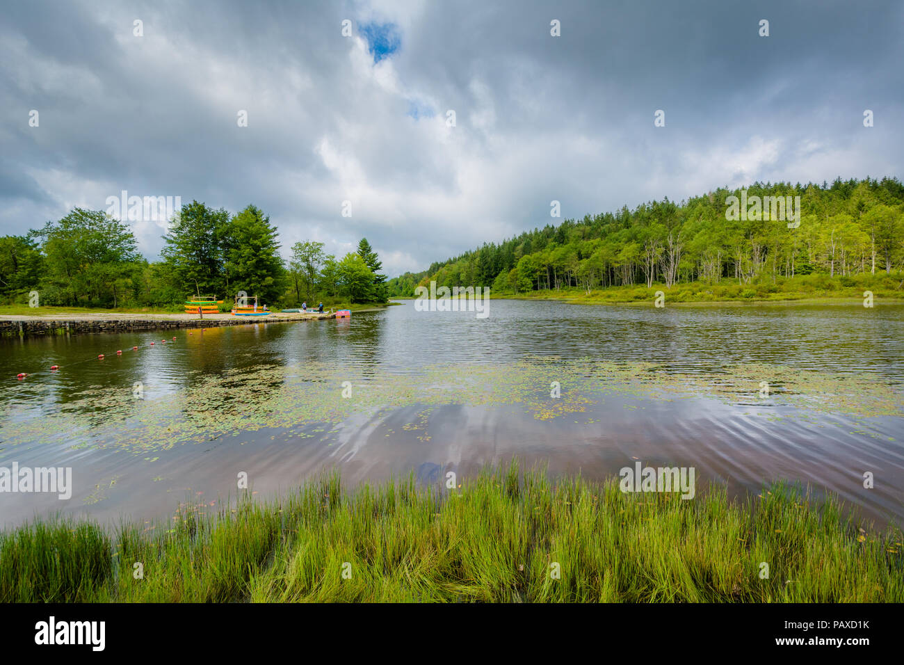 Pendleton Lake Loop Pendleton Lake, at Blackwater Falls State Park, West Virginia Stock ...