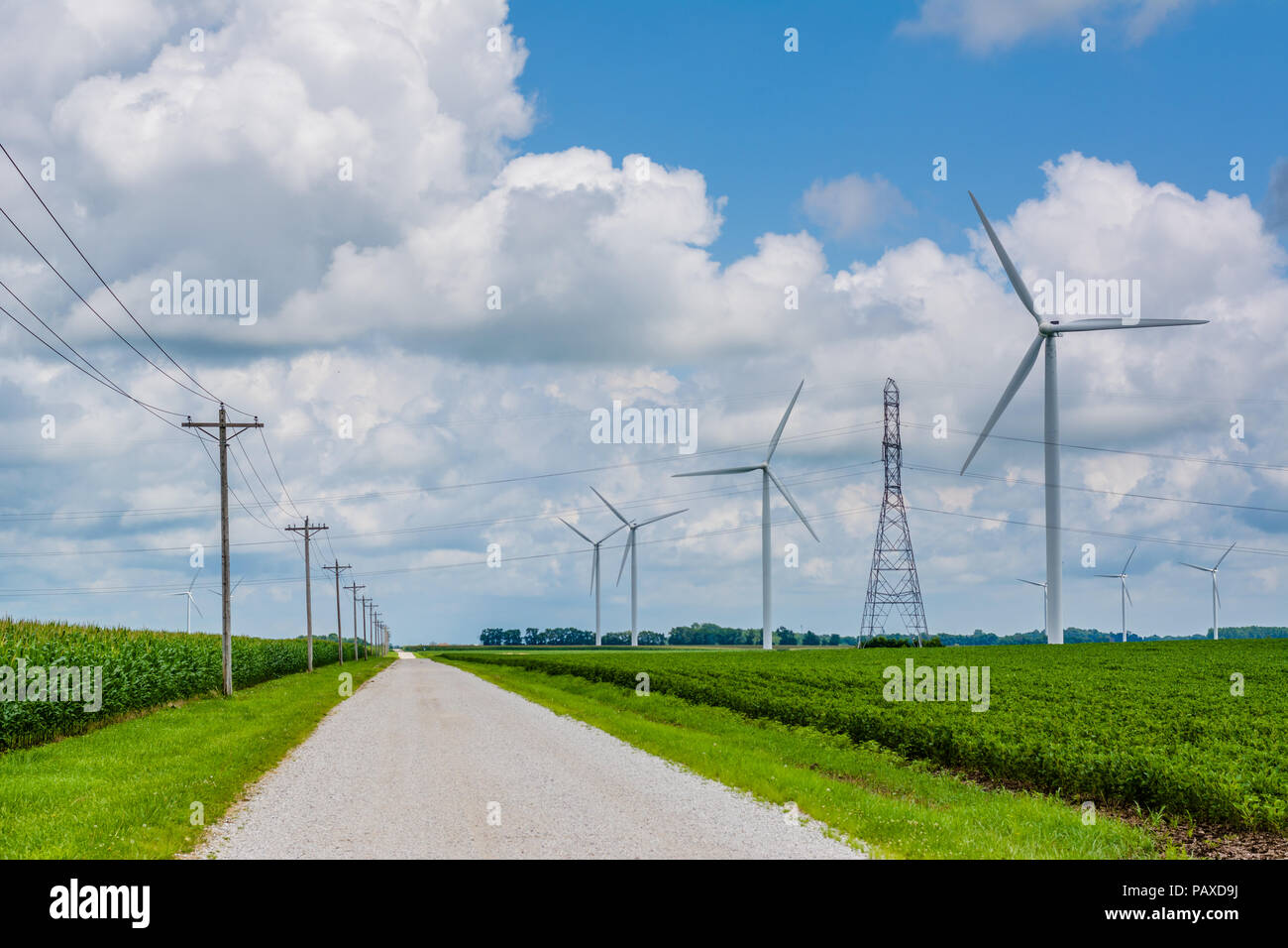 Road and windmills in rural Indiana Stock Photo Alamy