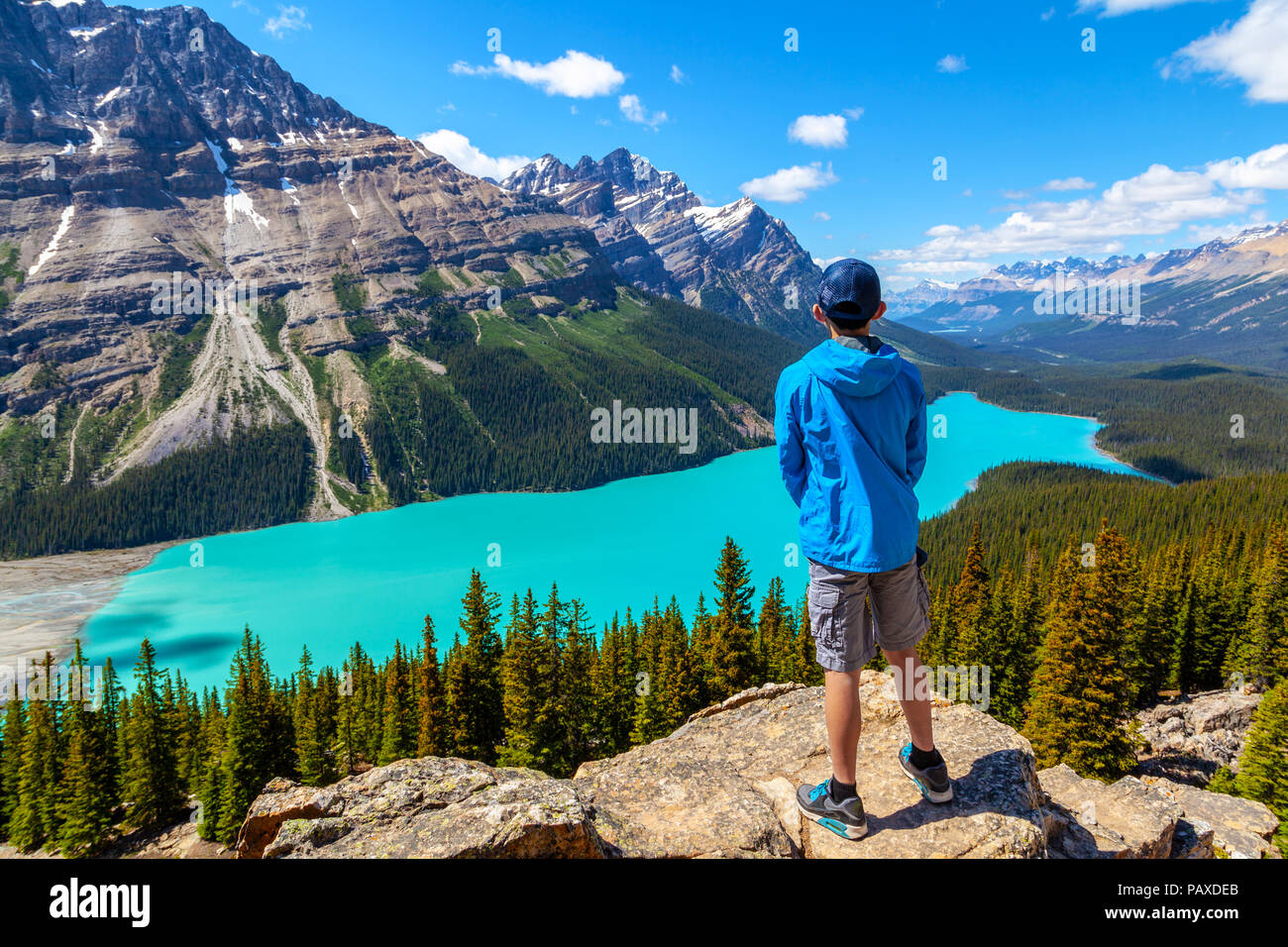 A teen hiker looks at Peyto Lake from Bow Summit in Banff National Park ...