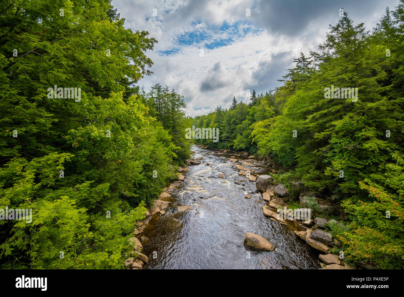 The Blackwater River at Blackwater Falls State Park, West Virginia