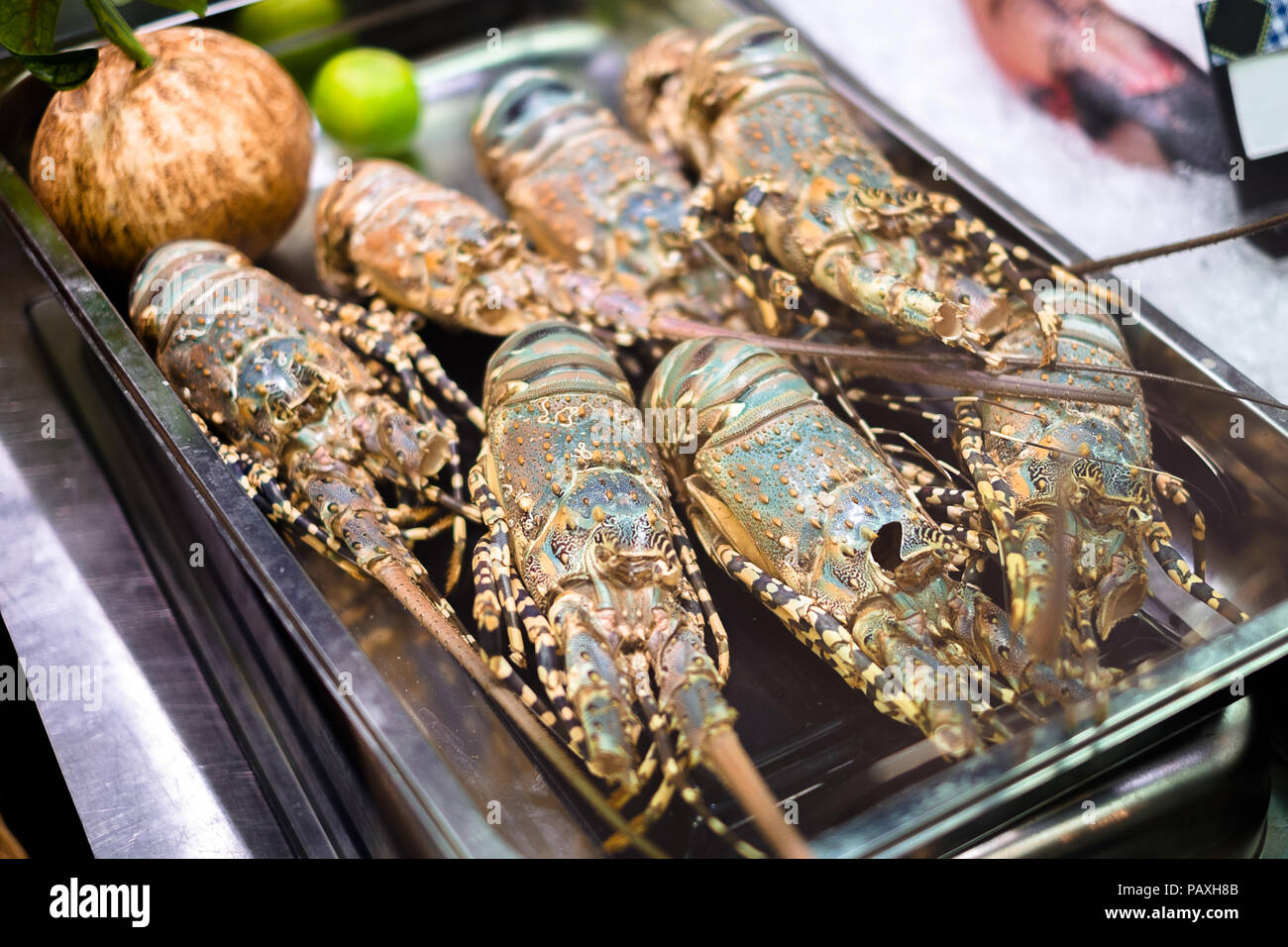 Raw fresh uncooked lobsters in a supermarket Stock Photo Alamy