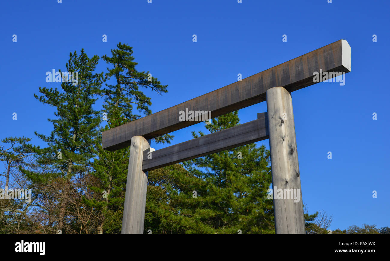 Wooden Japanese gate (Torii) at green forest in Nagoya, Japan Stock