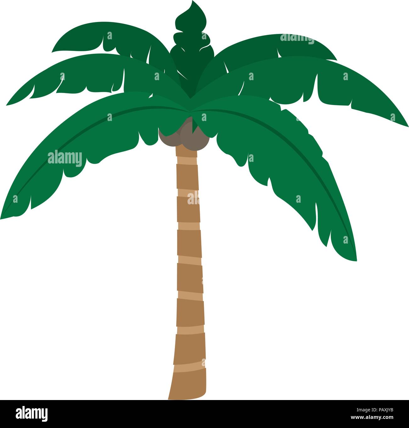 tropical palm tree with leaves and coconuts Stock Vector