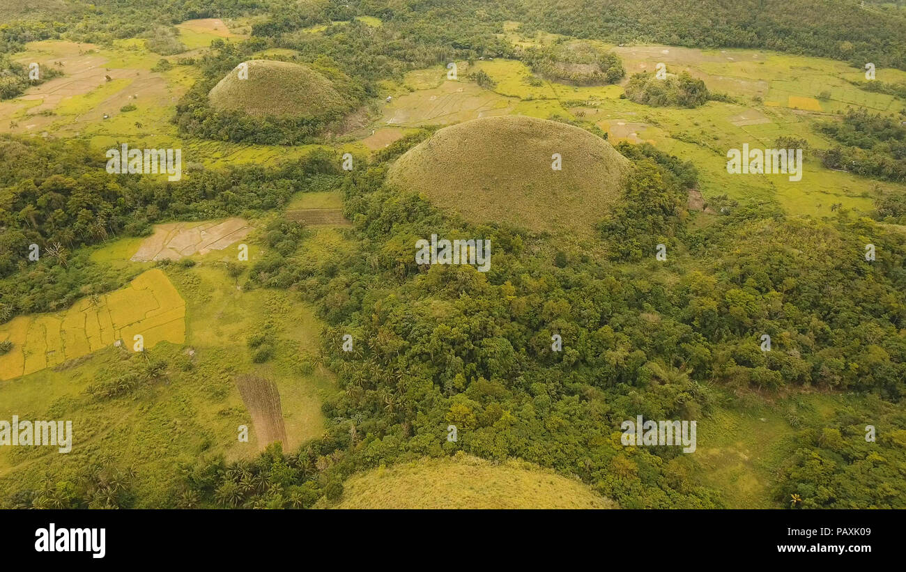 Amazingly shaped Chocolate hills on sunny day on Bohol island