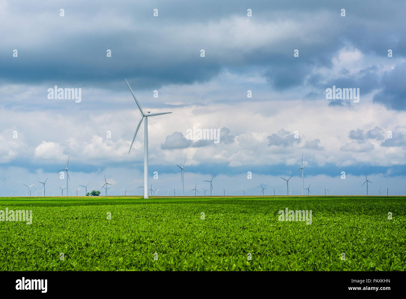 Windmills in rural Indiana Stock Photo Alamy