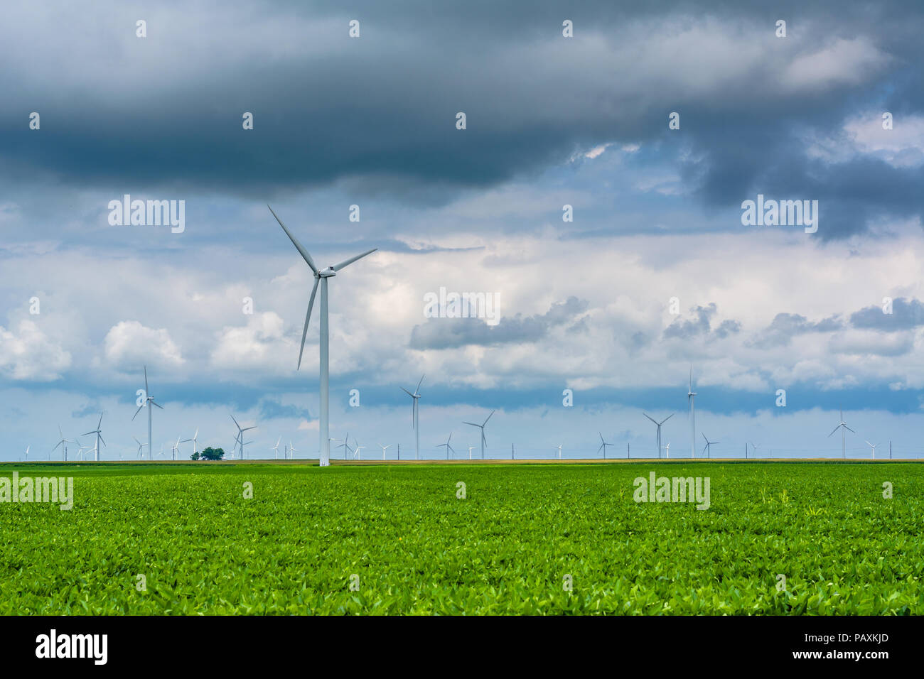 Windmills in rural Indiana Stock Photo Alamy