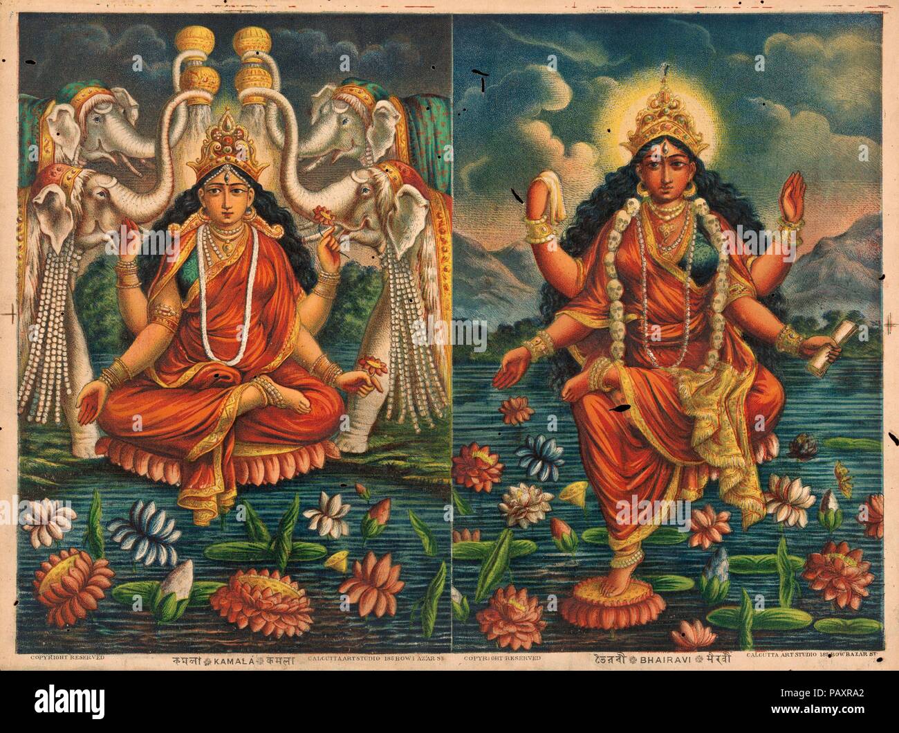 Kamala/ Bhairavi. Culture: India. Dimensions: Image: 11 1/4 × 15 1/4 in. (28.6 × 38.7 cm)  Sheet: 12 × 16 in. (30.5 × 40.6 cm). Date: 1885-90.  Kamala and Bhairavi are two of the ten Mahavidyas or great manifestations of Devi (deified aspects of the goddess that range from pacific to ferocious).   On the left, four elephants lustrate the goddess who is identified in a below label as Kamala.  She holds lotuses in her two left hands while her upper right is in the abhaya mudra (reassurance) and her lower right is in the varada mudra (boon giving).  She sits on a lotus and in fact, her name means Stock Photo