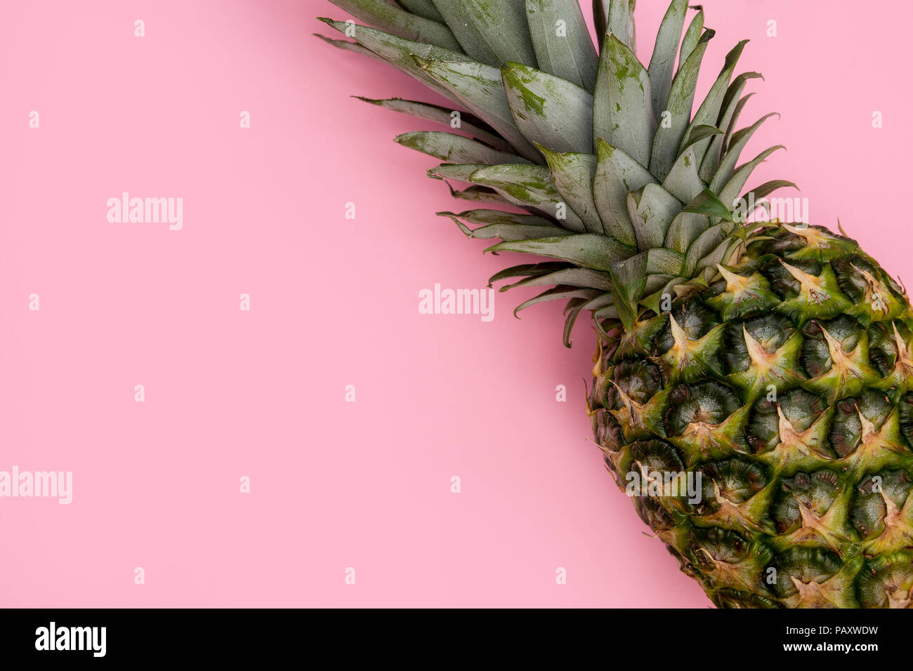 Pineapple fruit on bright pink background minimal summer food concept Stock Photo