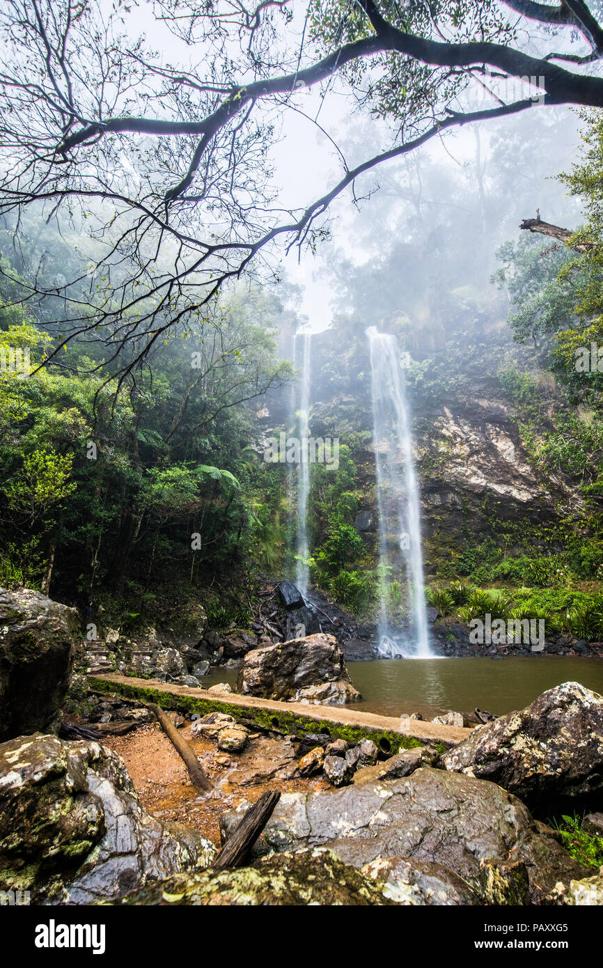 Twin Falls hike in the Springbrook National Park, Queensland, Australia