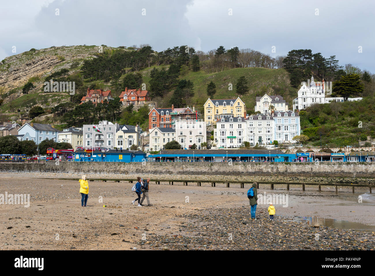 Family on the beach at Llandudno, a seaside town on the coast of North Wales, UK. Stock Photo