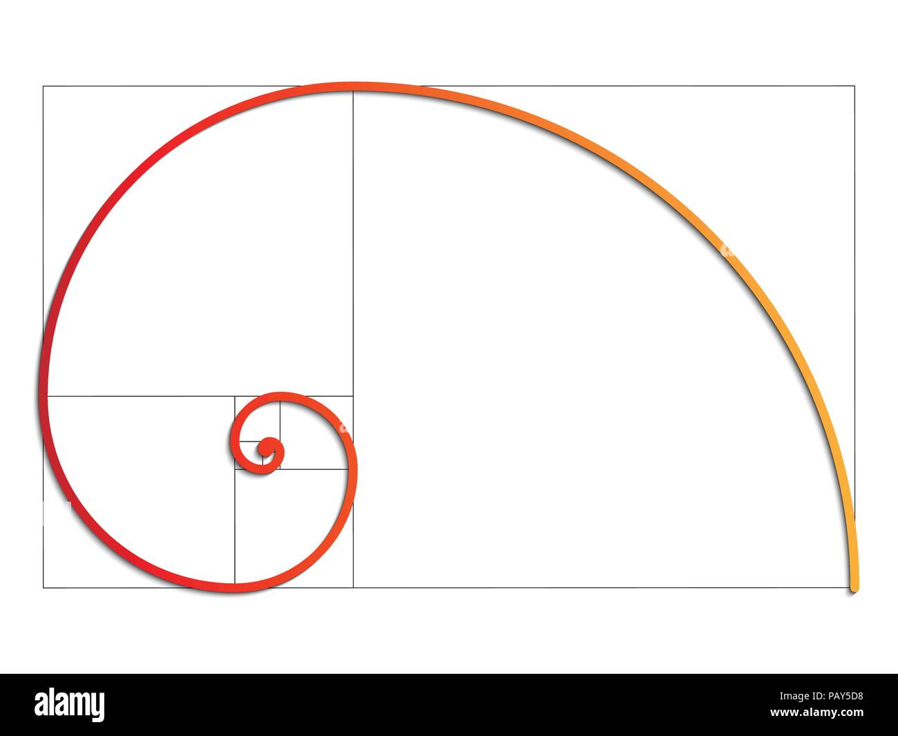 The Fibonacci spiral. Vector EPS 10 Stock Vector
