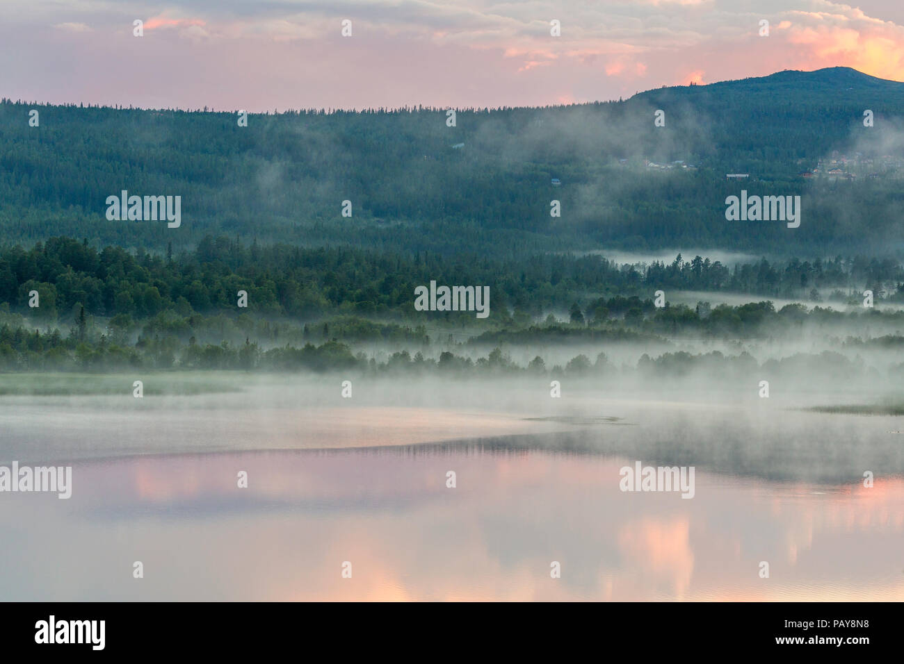 Boreal forest aerial fog hi-res stock photography and images - Alamy