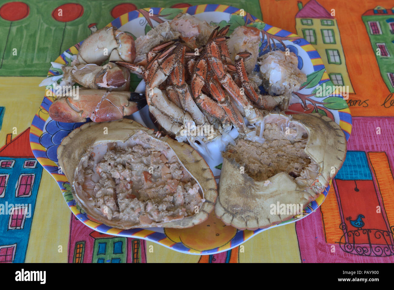 Brown crab hi-res stock photography and images - Alamy