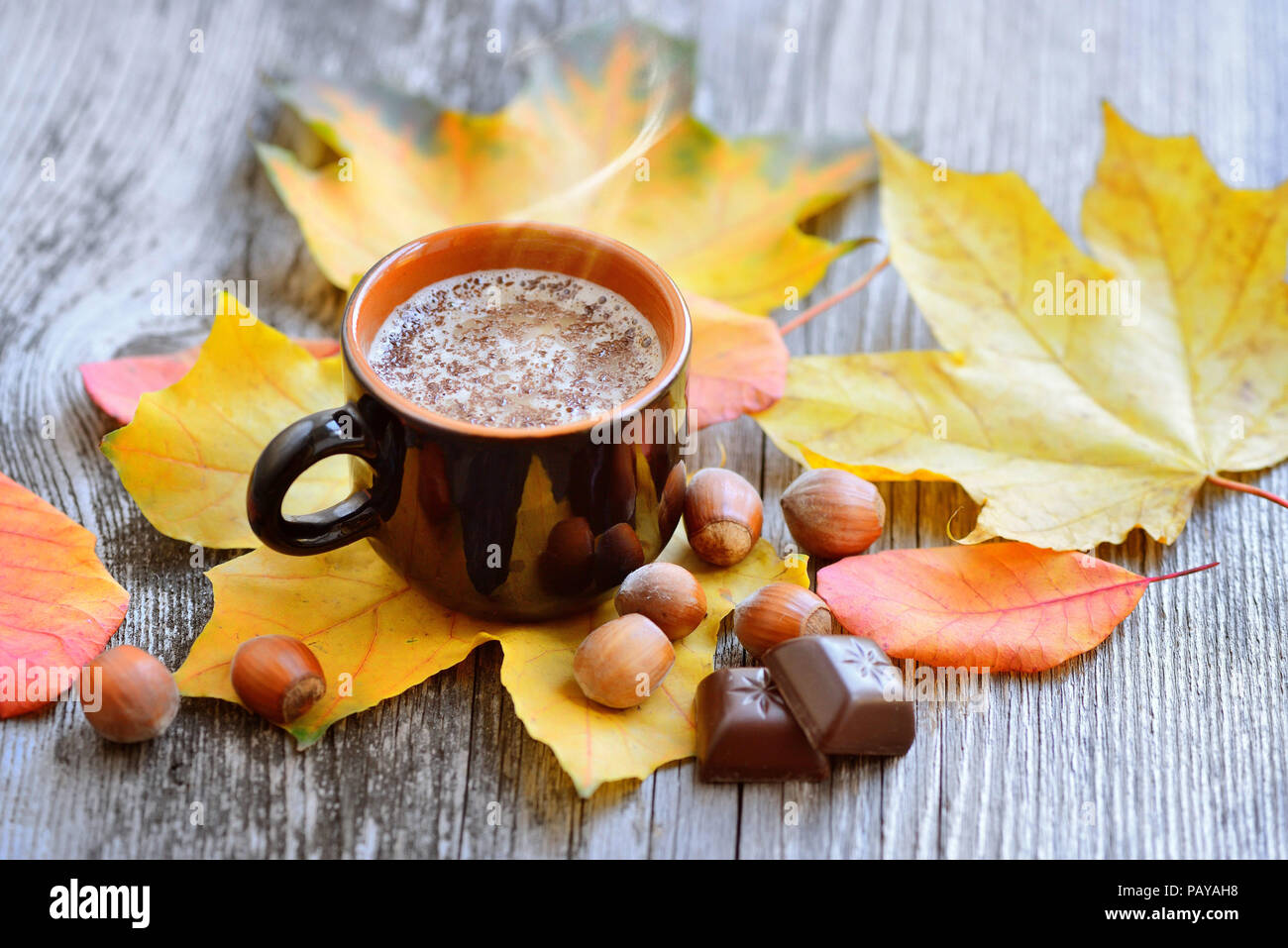 Autumn Cup of coffee, nuts, pine cones, chocolate and autumn leaves. Autumn  background. Autumn scene. Coffee and autumn leaves Stock Photo - Alamy, image size:1300x957