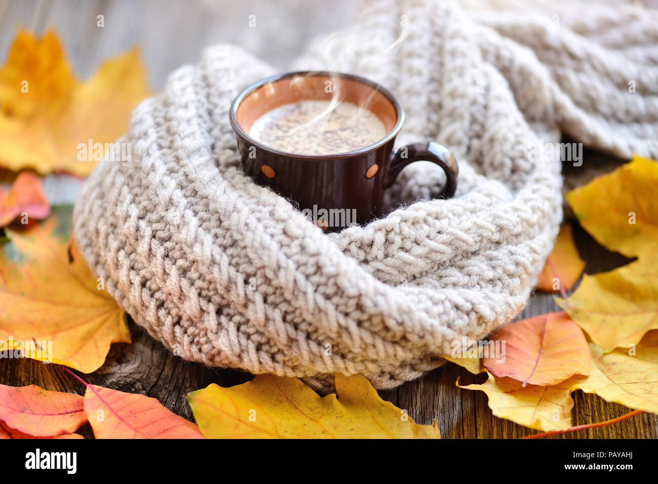 Coffee Cup Flowers Image & Photo (Free Trial) | Bigstock