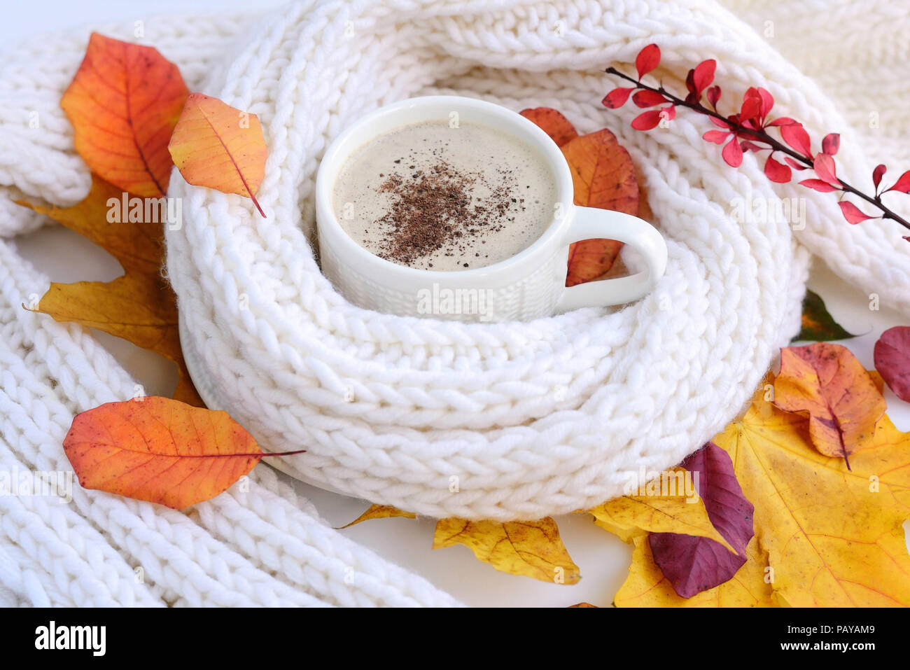 Autumn leaves, hot cup of coffee and a warm scarf on white background ...