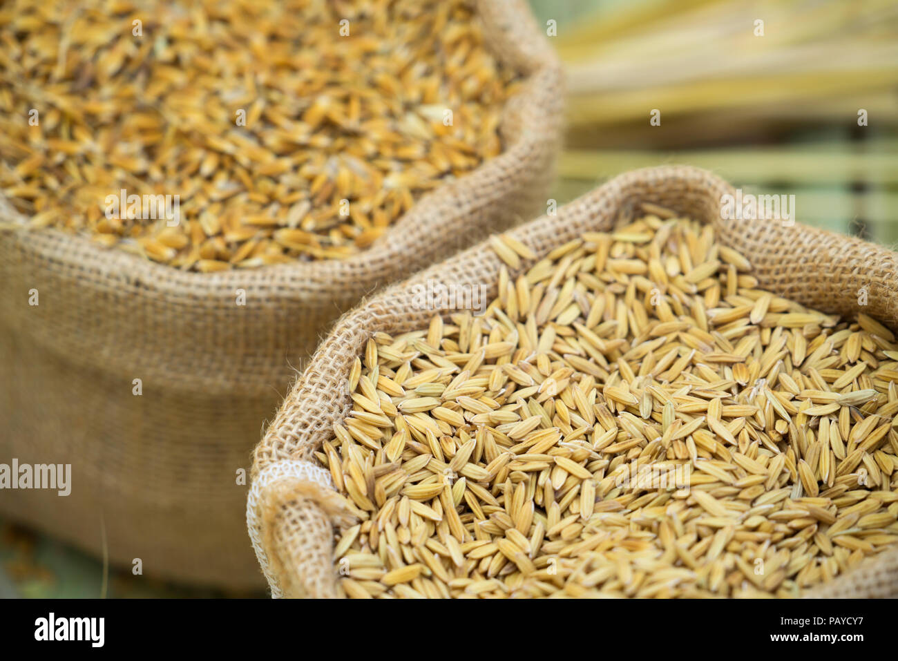 Rip paddy hi-res stock photography and images - Alamy