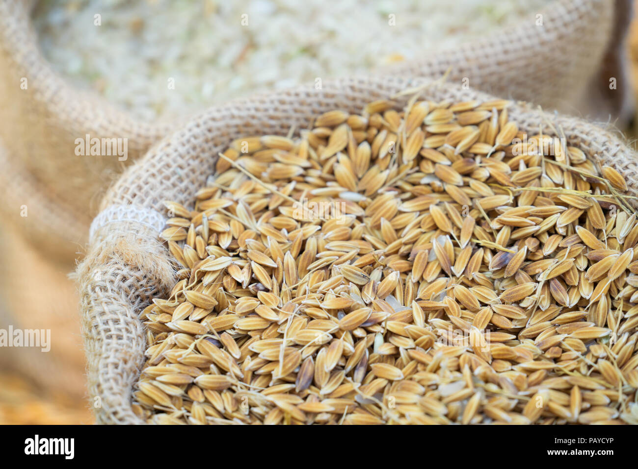 Rice germ hi-res stock photography and images - Alamy
