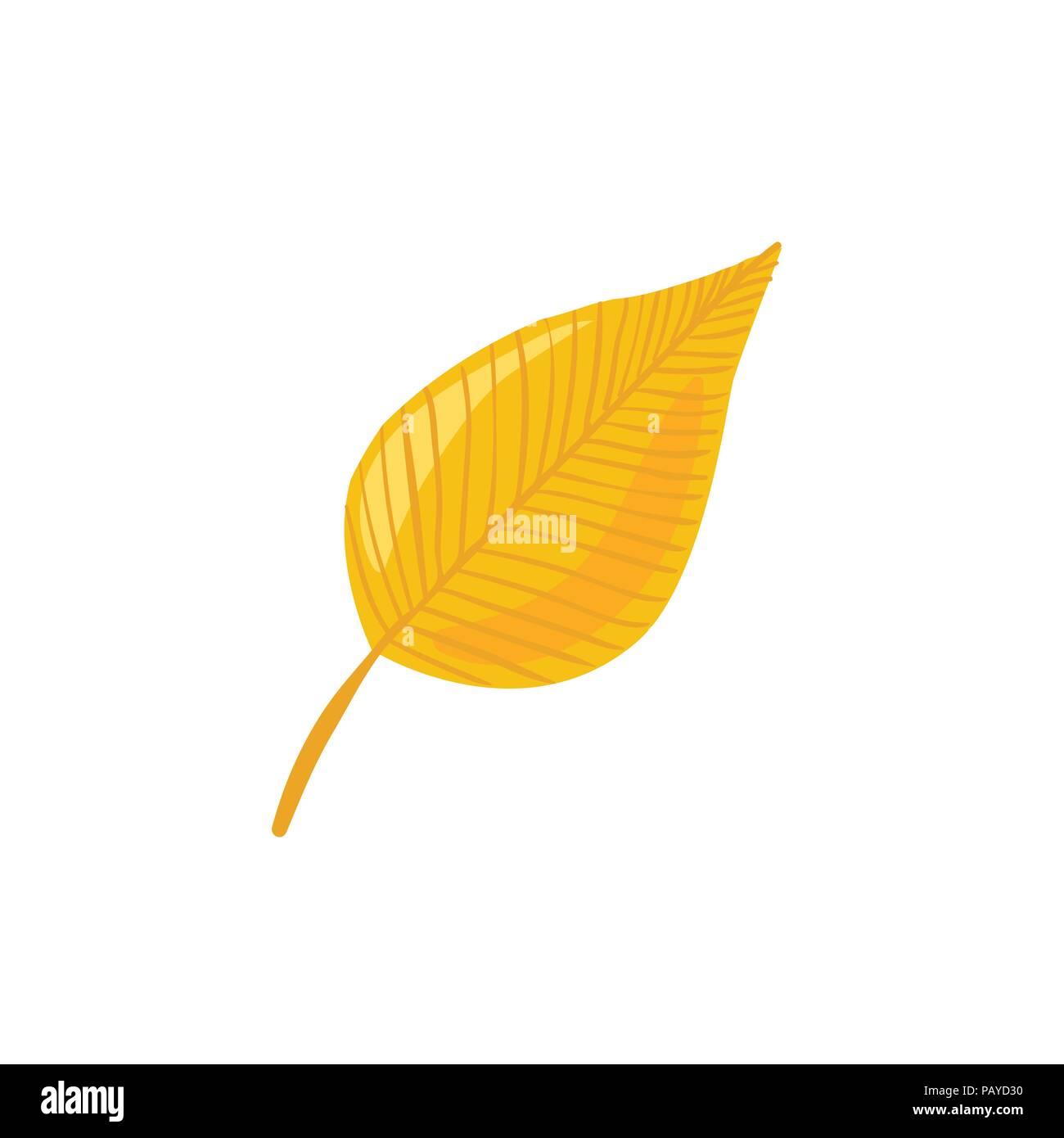 Leaf icon isolated Stock Vector Image & Art - Alamy