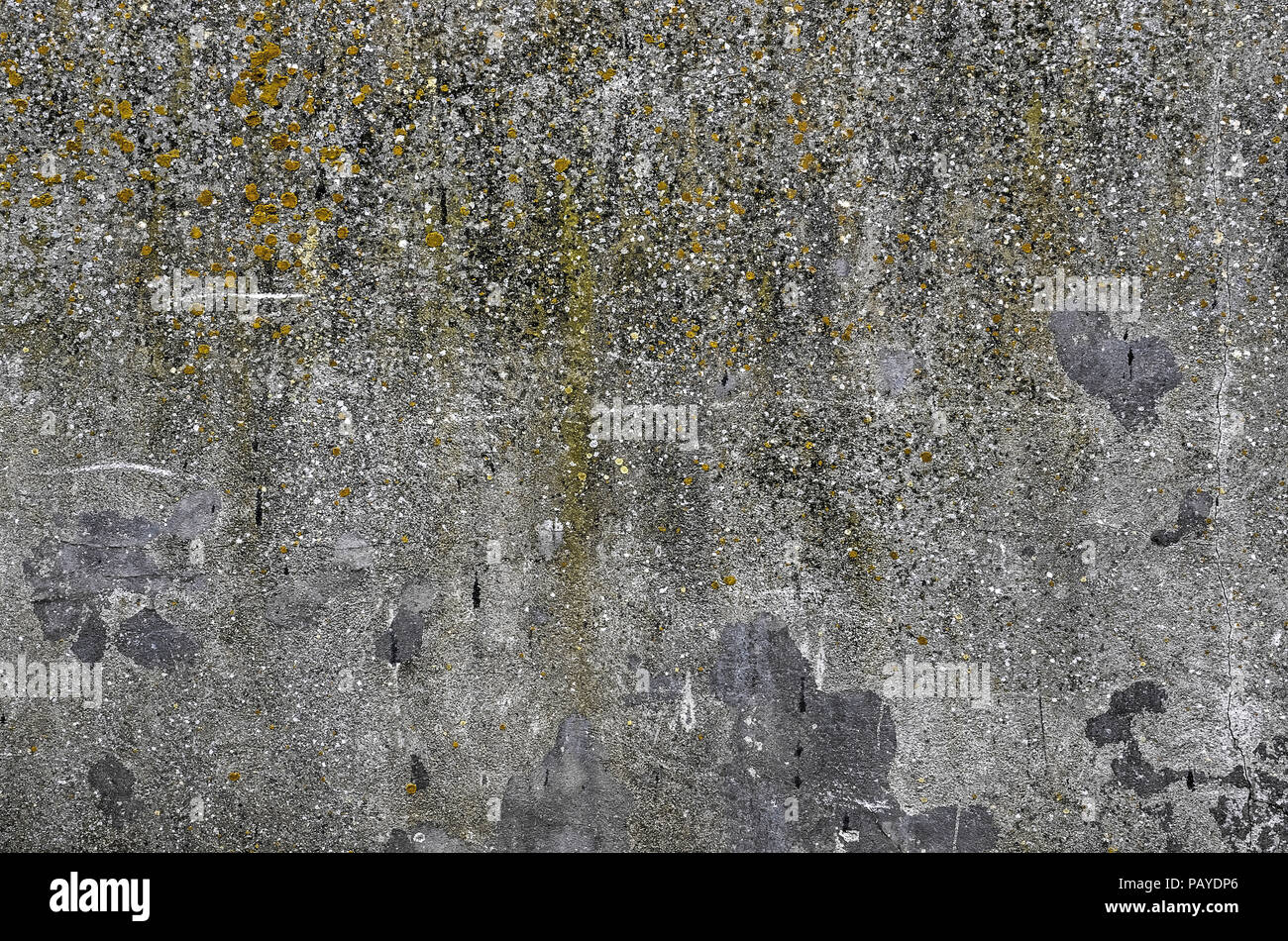 Old, weathered concrete surface with scratches and a multitude of dots and stains of dirt, lichen and other irregularities Stock Photo