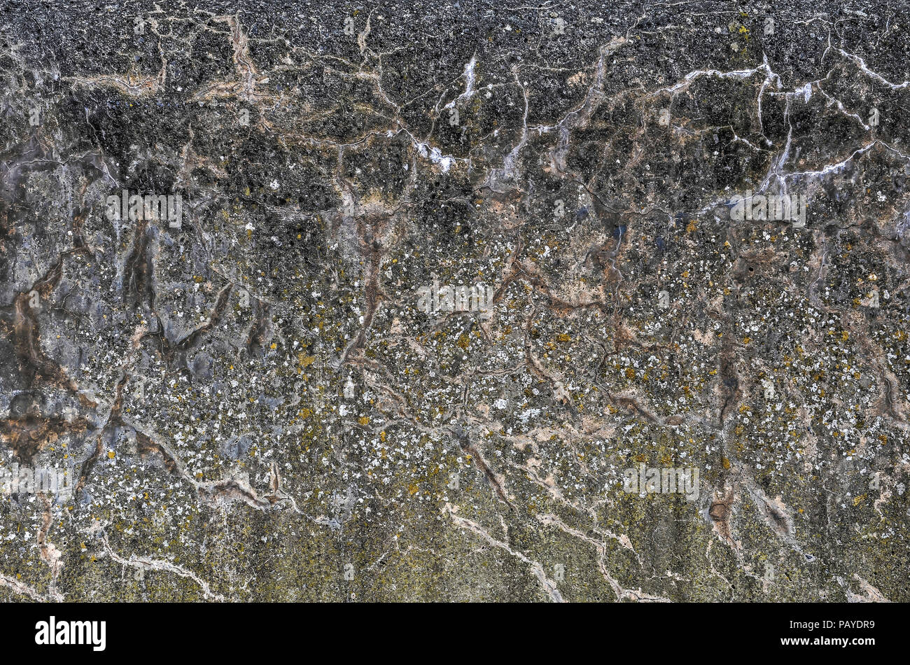 Weathered surface of a concrete seawall with a large variety of stains, scrathes, colorizations and other irregularities Stock Photo