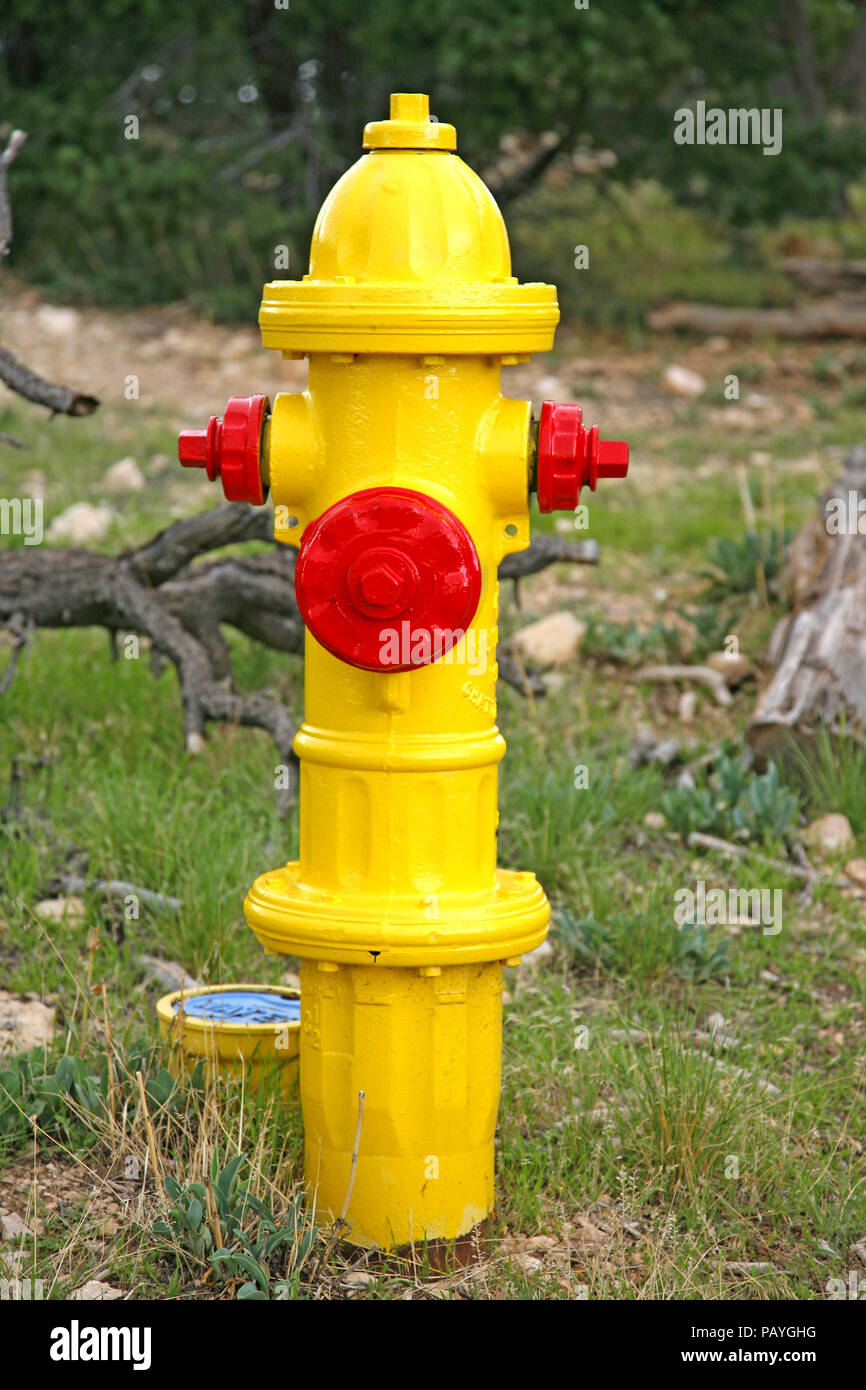 Image of a yellow fire hydrant Stock Photo Alamy