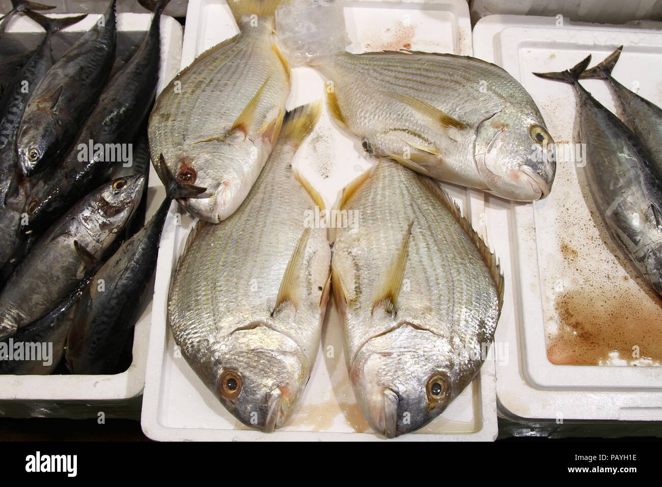 Bream red snapper herring hires stock photography and images Alamy