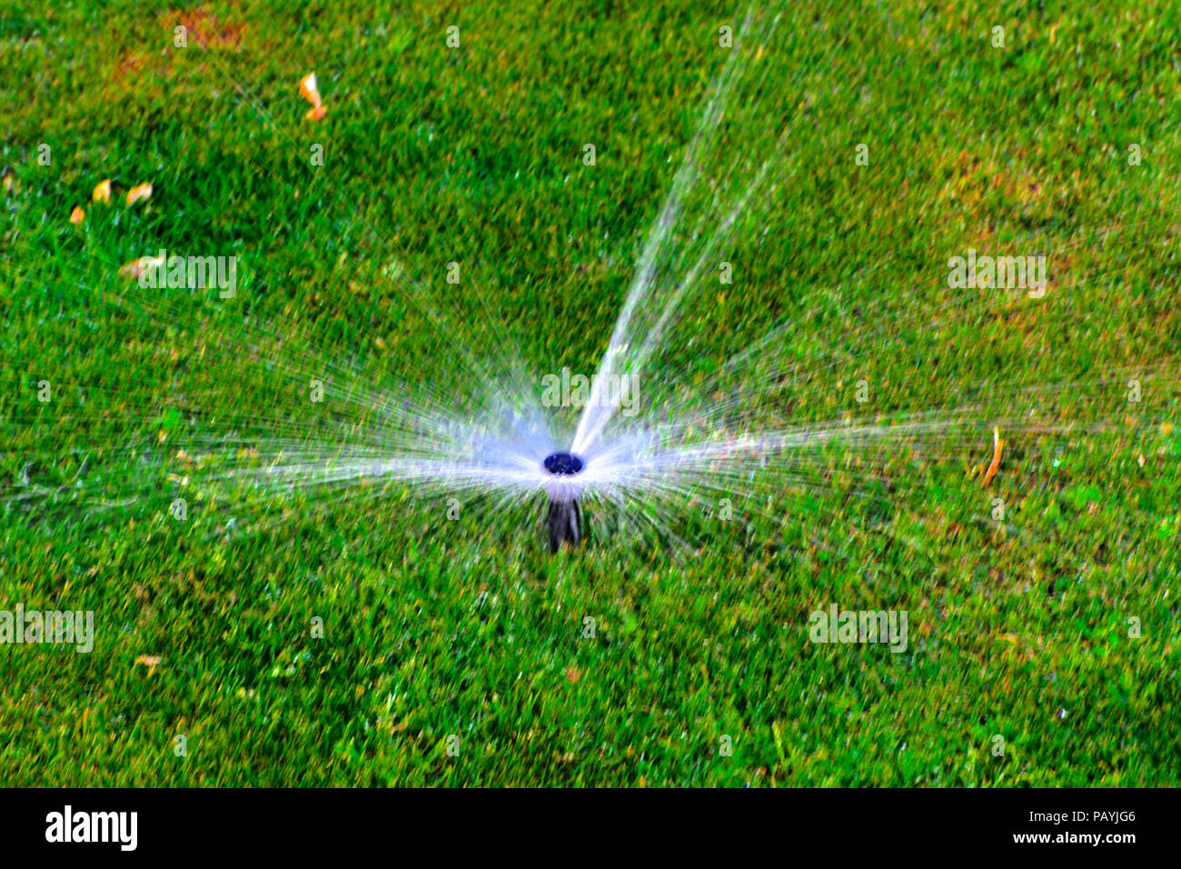 The Modern Device Of The Irrigation Garden Automatic Sprinkler
